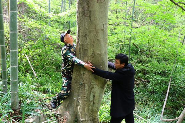 澳门正版挂牌免费挂牌大全|精选解释解析落实_v2.586版